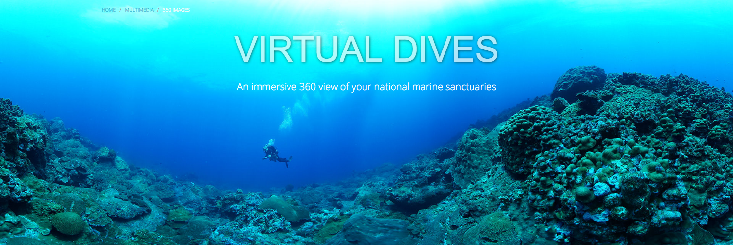 Virtual Dives - An immersive 360 view of your national marine sanctuaries