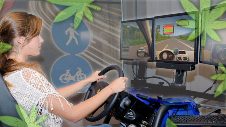 Study: Daily Cannabis Consumers Exhibit Few Changes in Simulated Driving Performance Compared To Controls
