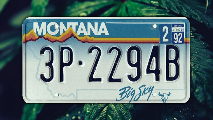 Montana license plate over a background of cannabis leaves