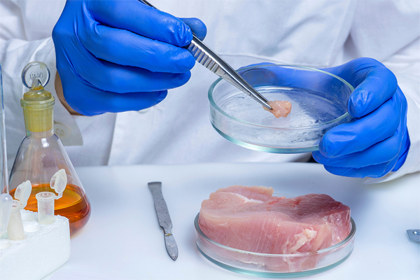 Food Safety Inspection Funds Increase