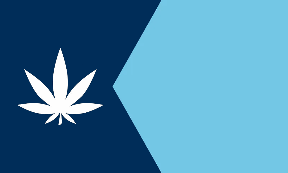 Minnesota cannabis regulators inundated with thousands of license applications