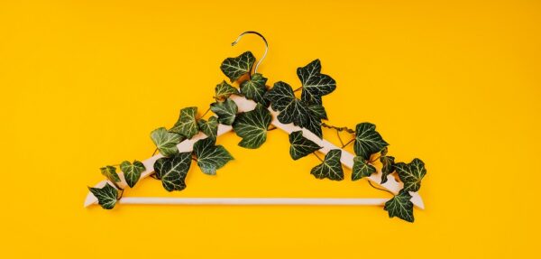 Sustainability is the Lifeblood of British Heart Foundation’s New ‘Store of the Future’