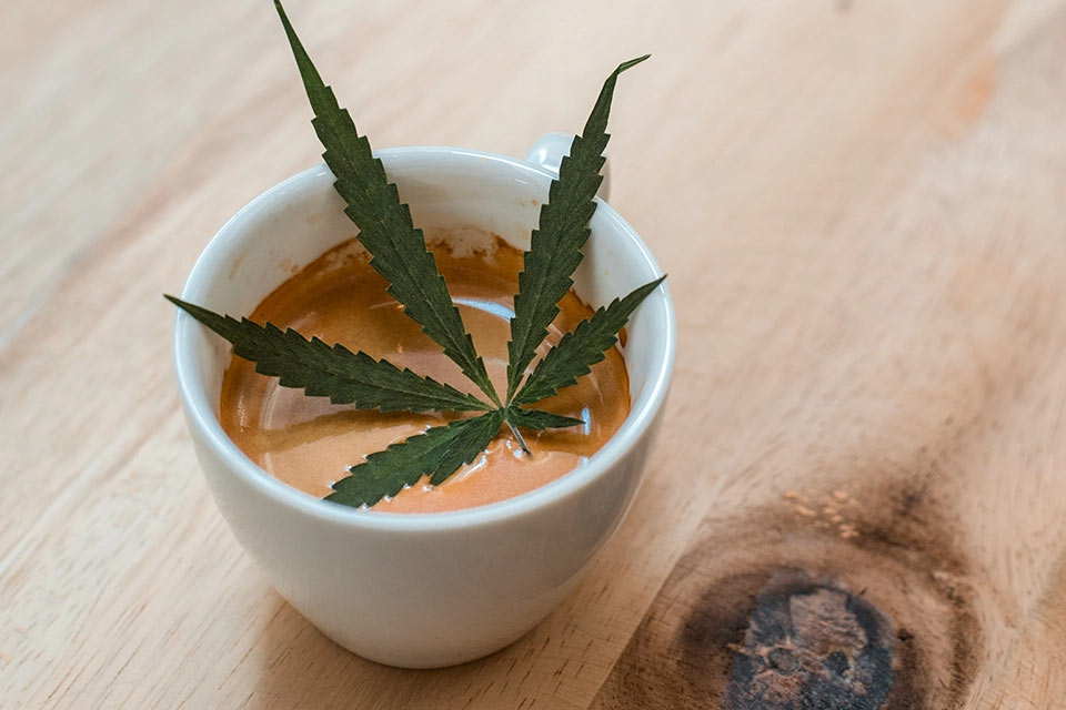Massachusetts cannabis regulators lay groundwork for social consumption