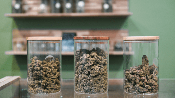 Analysis: Botanical Cannabis Products Often Possess Less THC Than Advertised