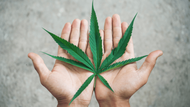 I’m Interning With NORML to Spark Change Beyond 4/20