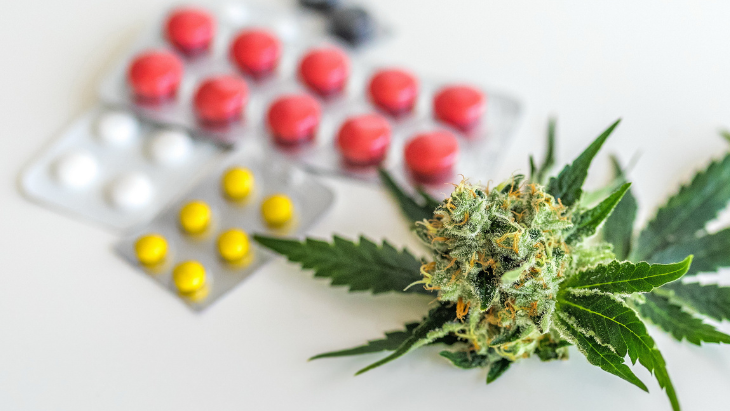 Survey: Many Consumers Substitute Cannabis for Prescription Medications