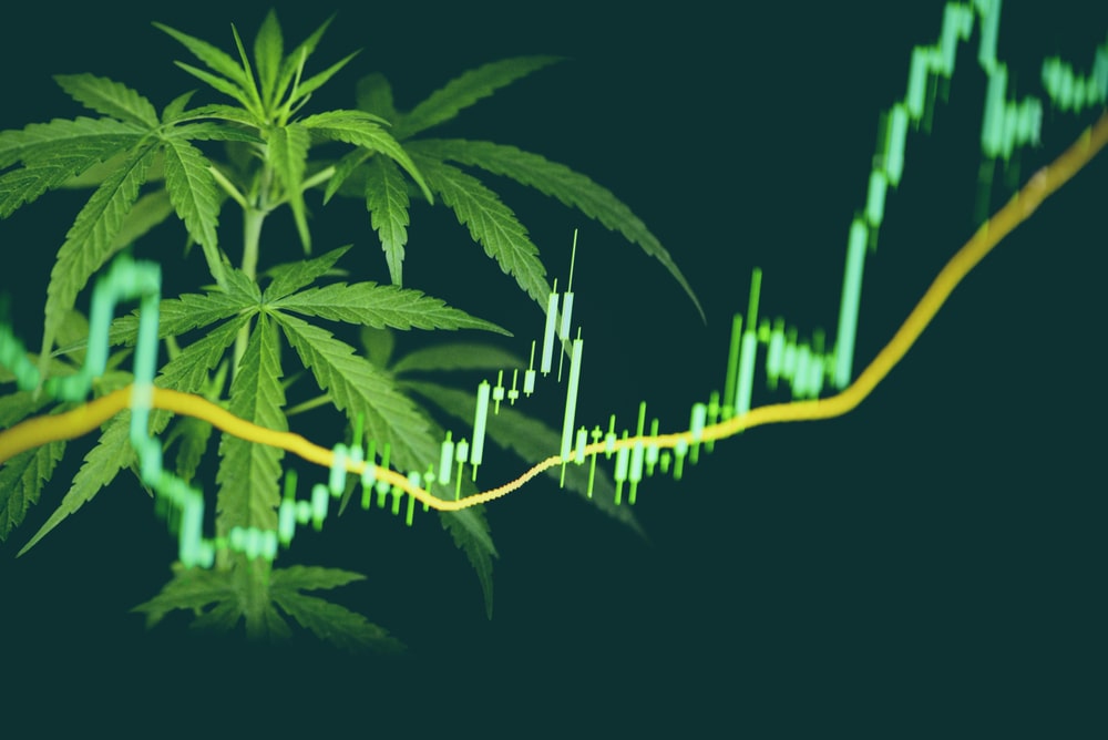 City View Green decides to officially ditch cannabis for tech