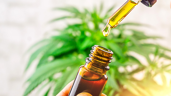 Case Series: Patients With Drug-Resistant Epilepsy Experience Seizure Freedom Following Daily Use of Cannabis Extracts