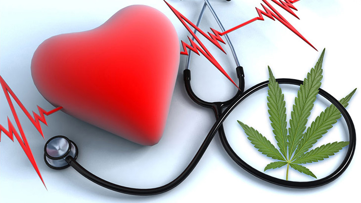 Study: No Significant Link Between Current Marijuana Use and Increased Risk of Heart Attack