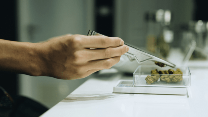 Survey: Over One in Three Californians Report Current Cannabis Use, Most Say They Obtain It From Licensed Dispensaries