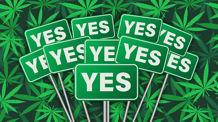 Republican-Leaning Poll Finds “There Is No Demographic Group that Doesn’t Believe Cannabis Should Be Legal”