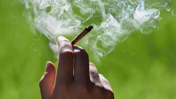 4/20 Is for the Party — The Days Before Are for the Fight