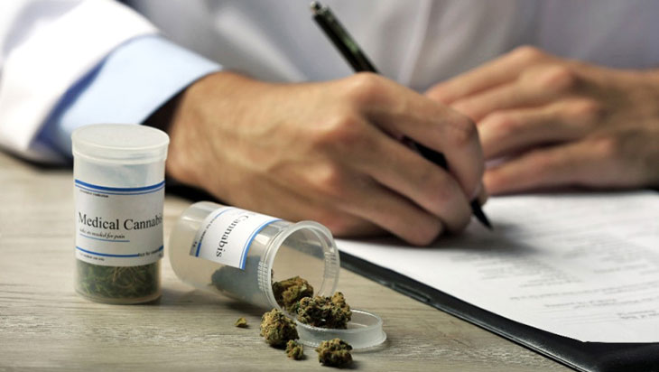 Most Healthcare Professionals Are Unprepared To Counsel Patients About Cannabis