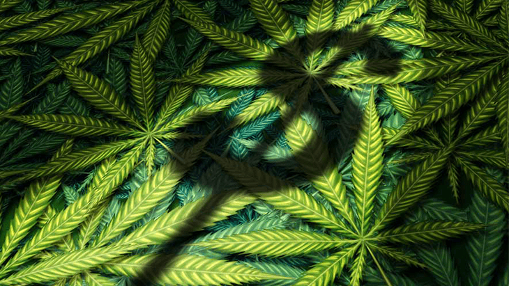 Analysis: Legal Cannabis Markets Have Generated $25 Billion in State Tax Revenue