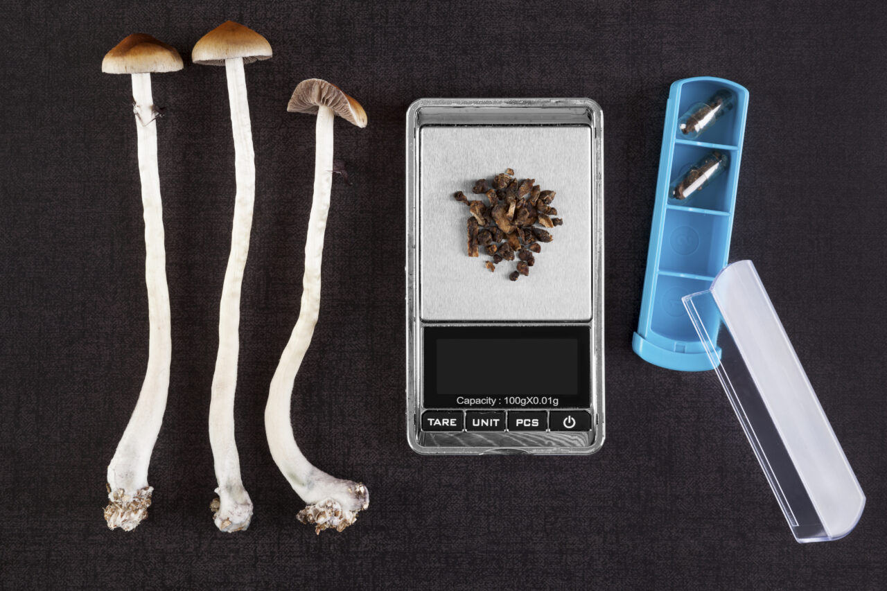 New Mexico governor signs off on Medical Psilocybin Act